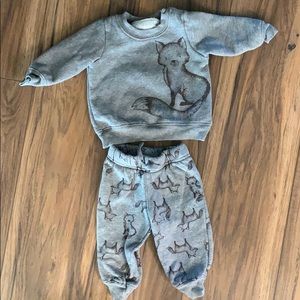 Sweats set gray fox 3-6M sweater & pants unisex